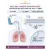 Beclomethasone Dipropionate – Its Molecular Mechanism in Asthma