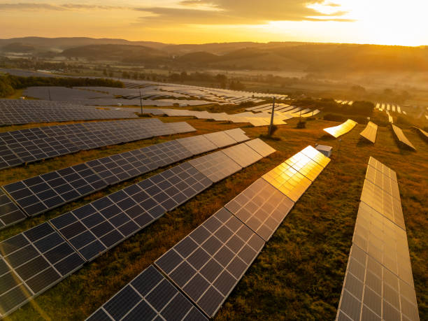 environmental stewardship
